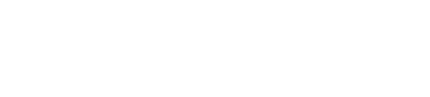 Hotel The Premium